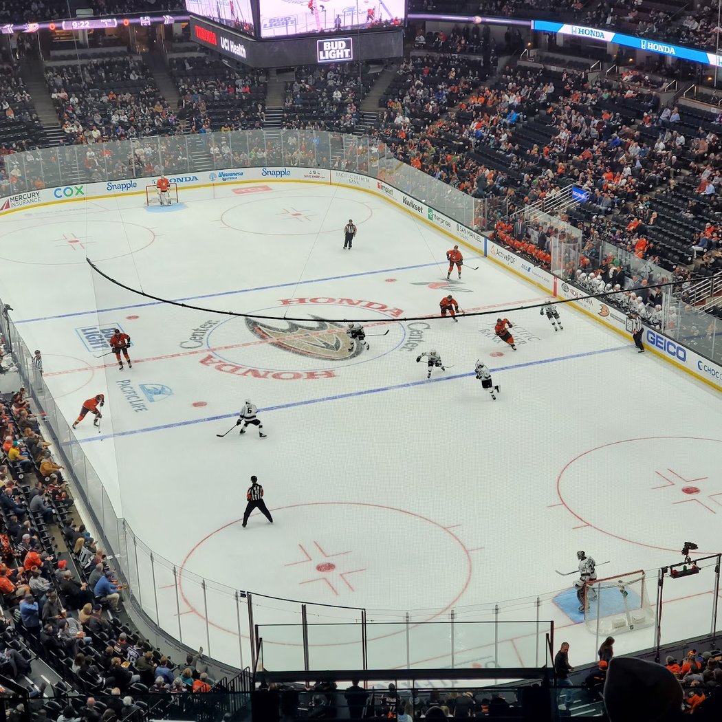 Ducks vs. Panthers 1