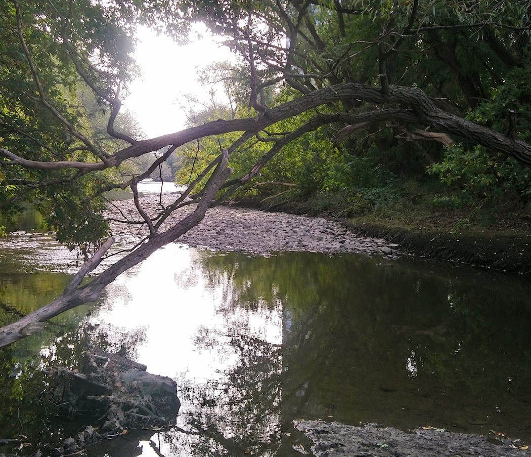 Mimico Creek Park 2