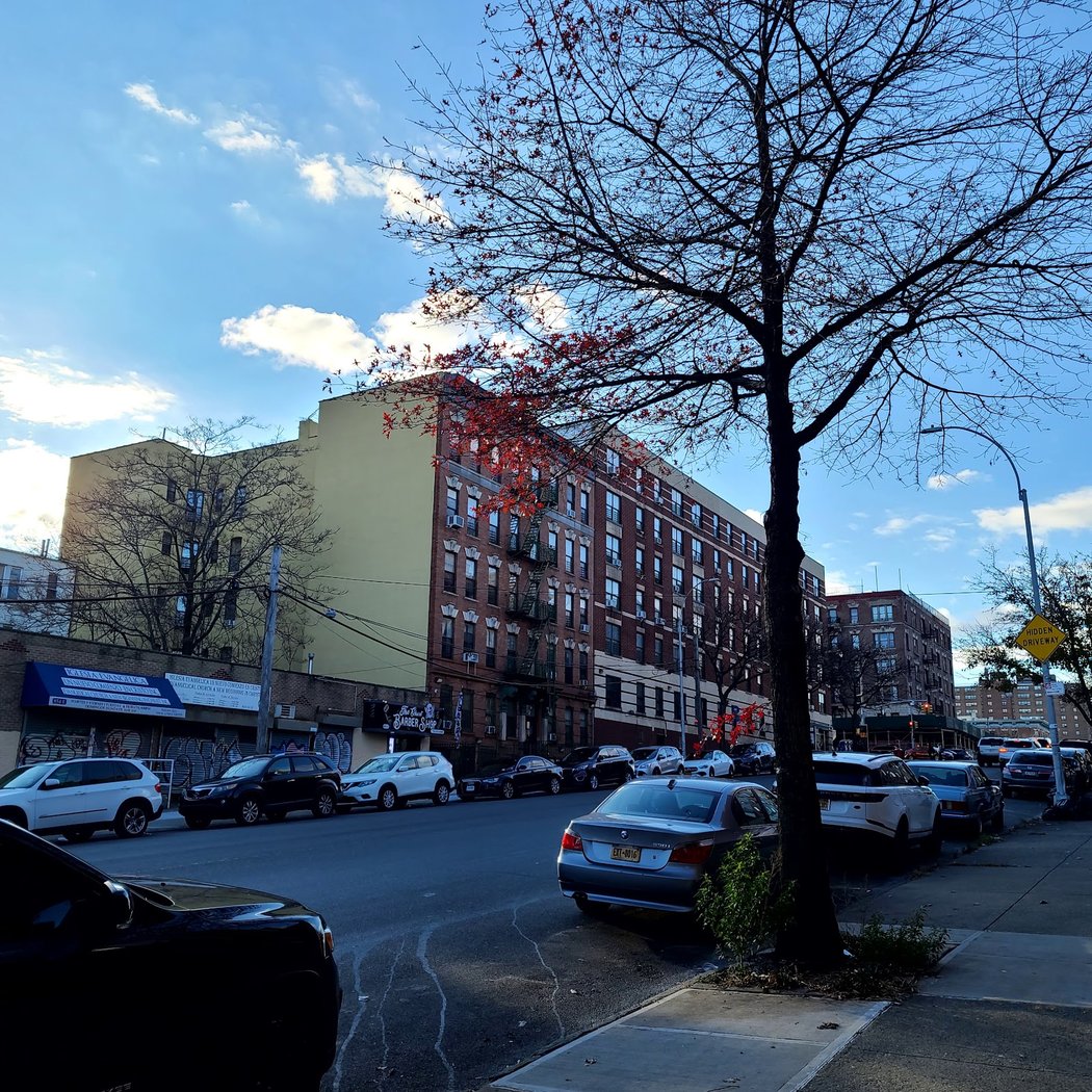 South Bronx 3