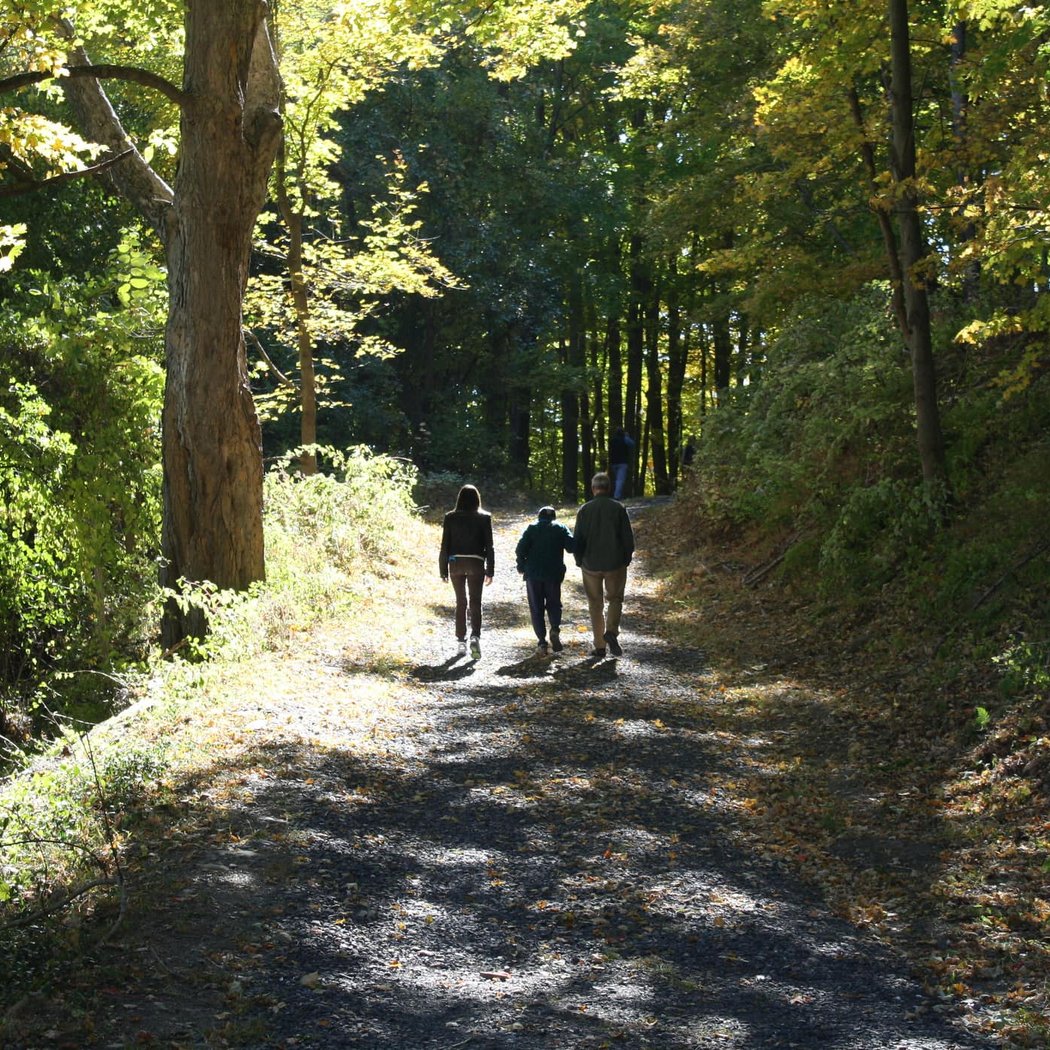 High Banks Preserve 3