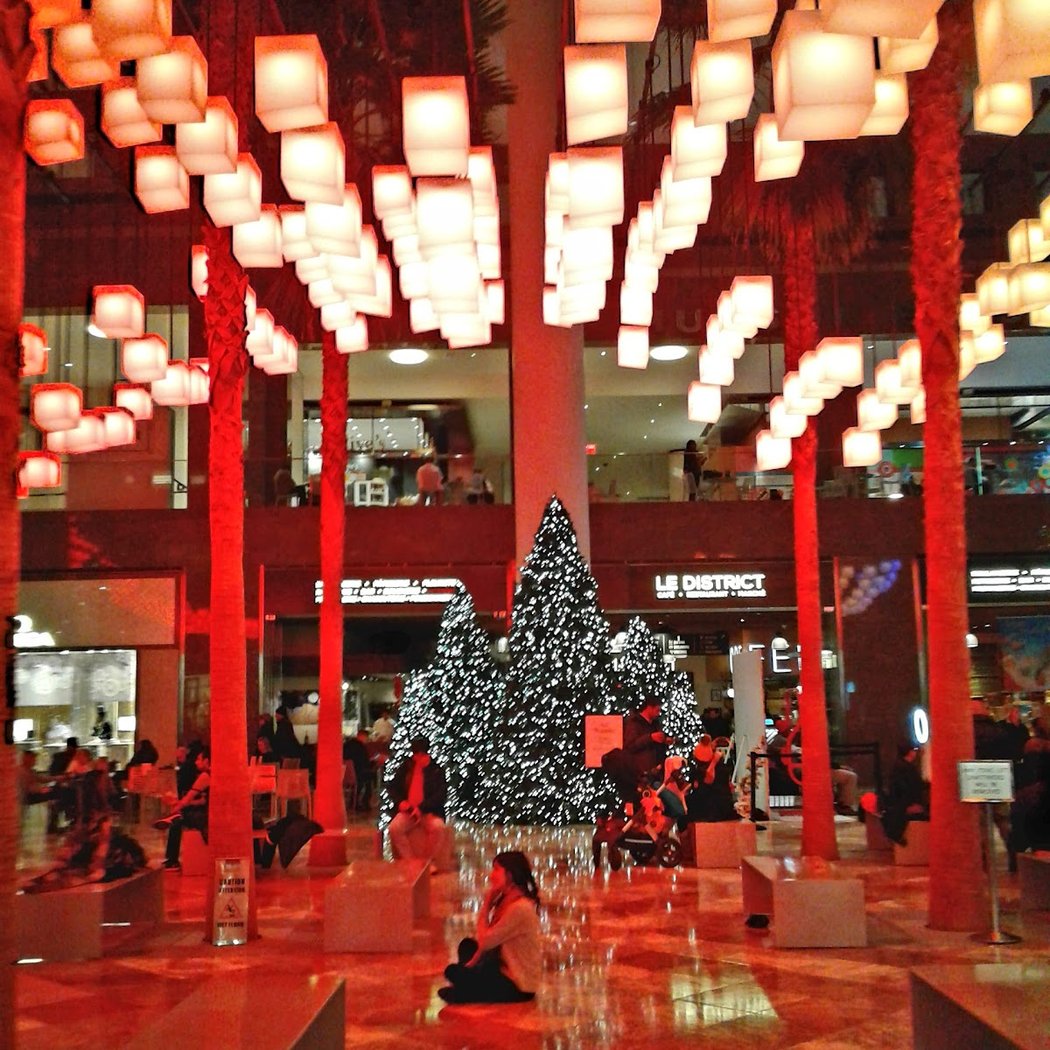 Winter Garden 3