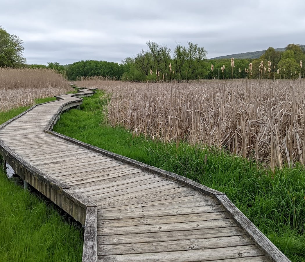 Appalachian Trail Boardwalk 2