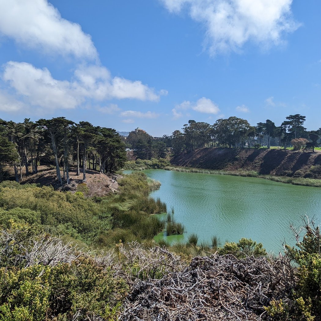 Lake Merced Half Marathon 2