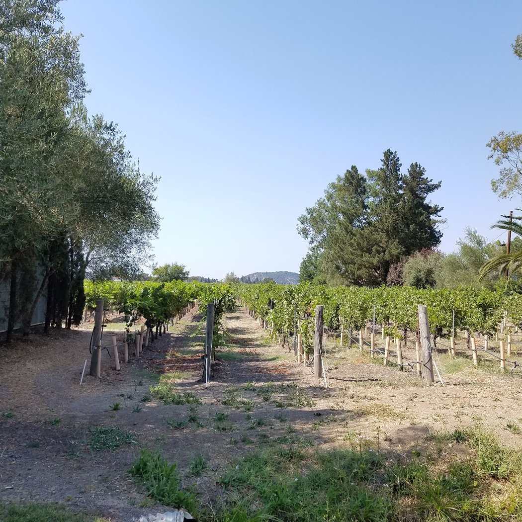 Elyse Winery 2