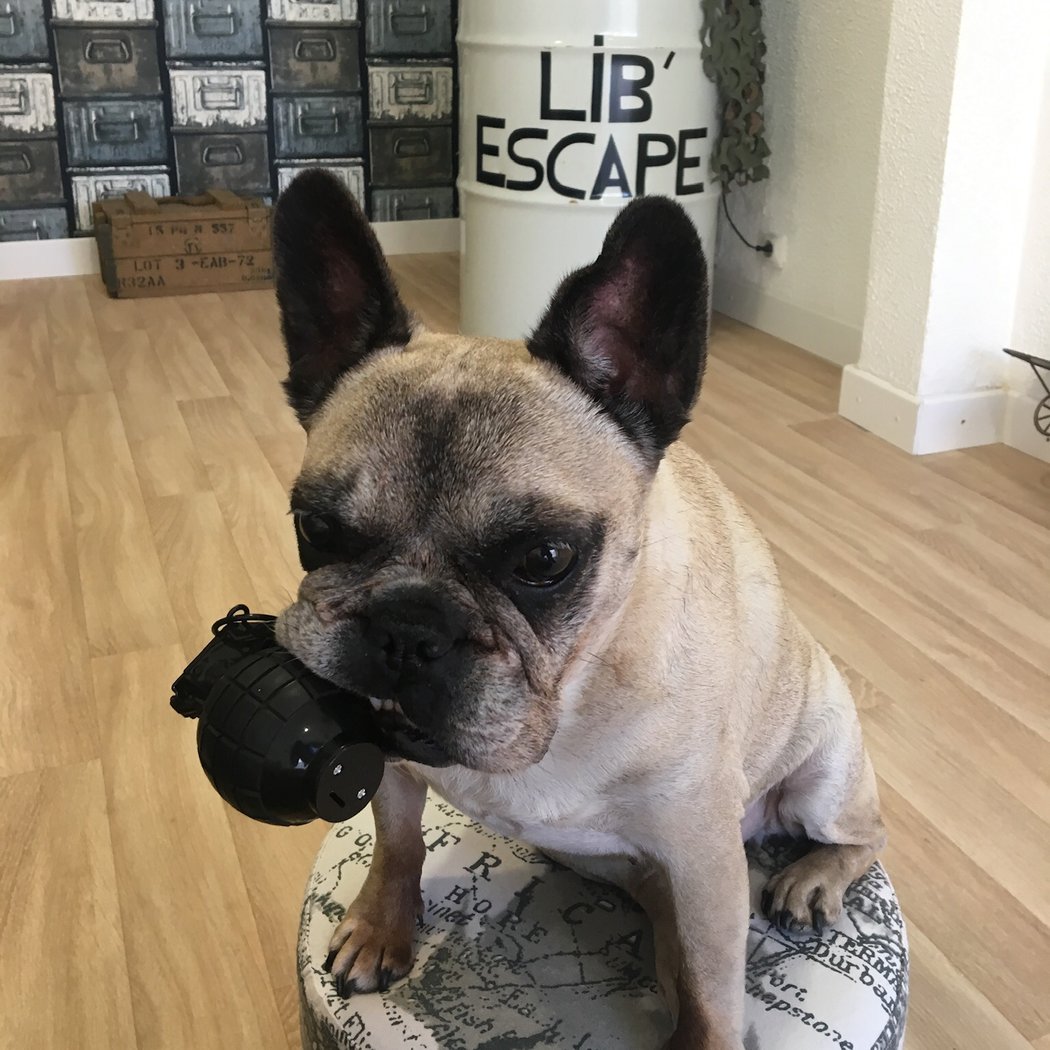 Lib’escape 5