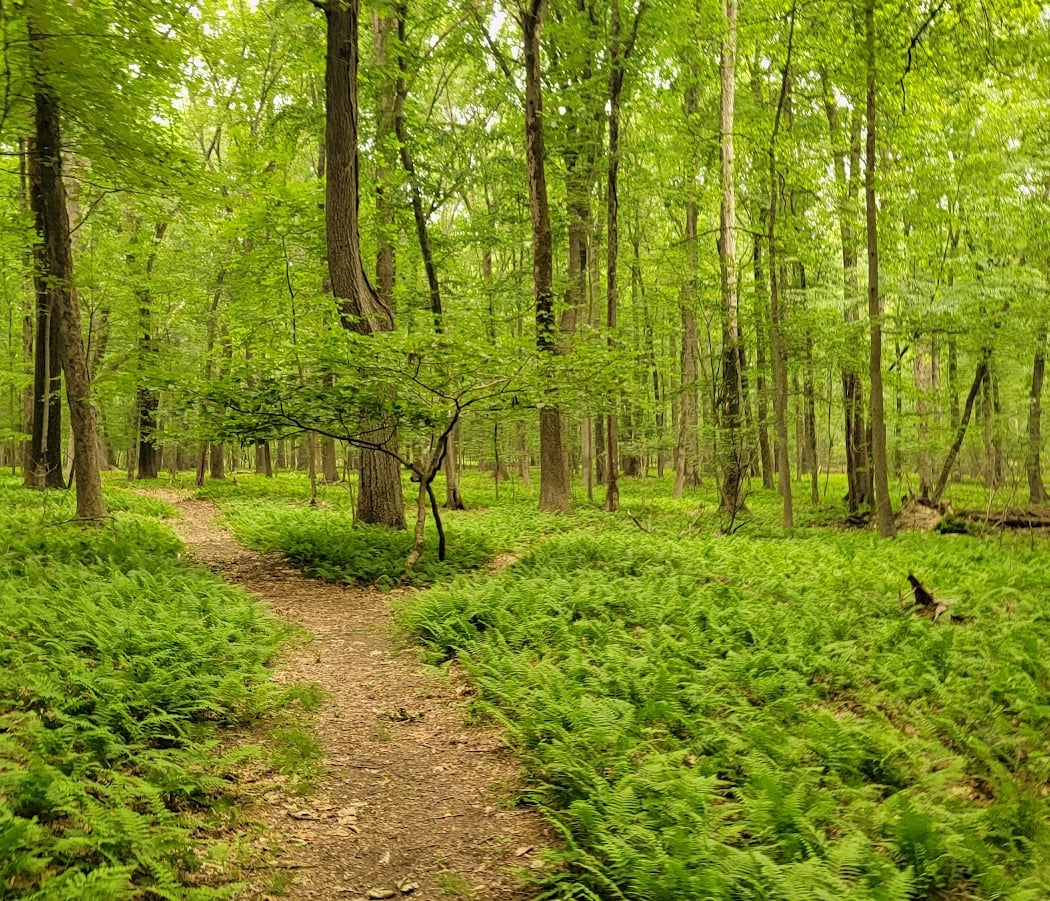 Closter Nature Center 3