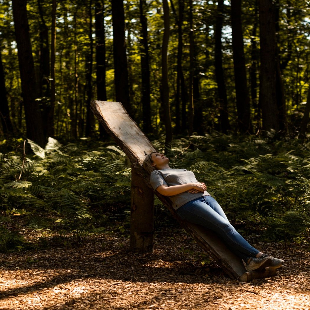 Discover Forest Bathing 5