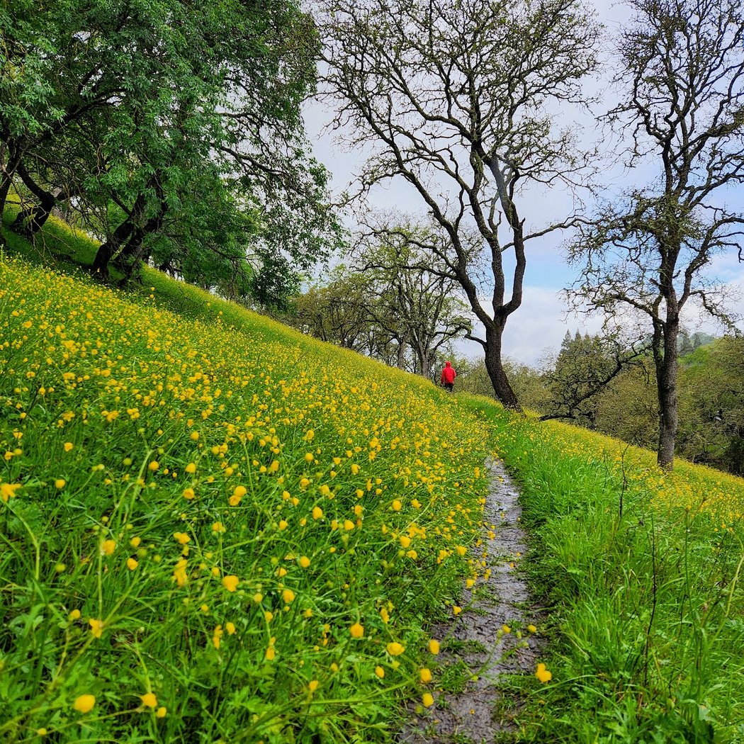 Fossil Hill Trail Hike 3