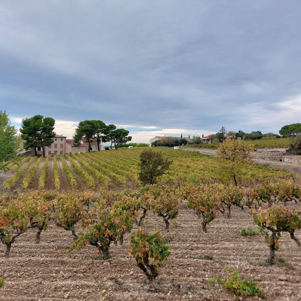 Œnorando du Cru La Livinière 2