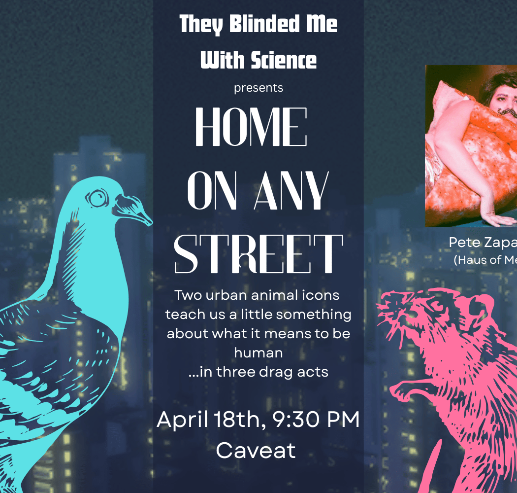 They Blinded Me With Science Presents: Home On Any Street 1
