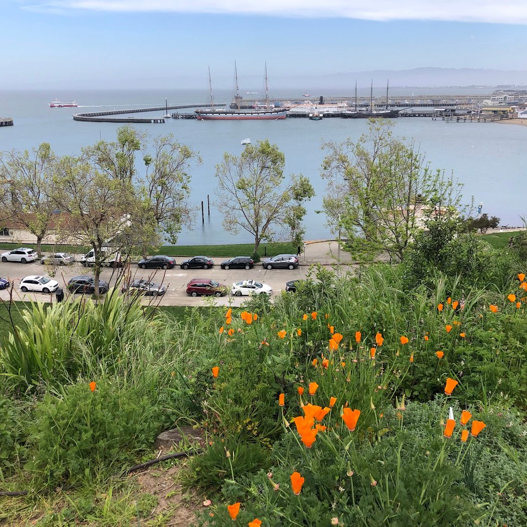 Black Point Historic Gardens 1
