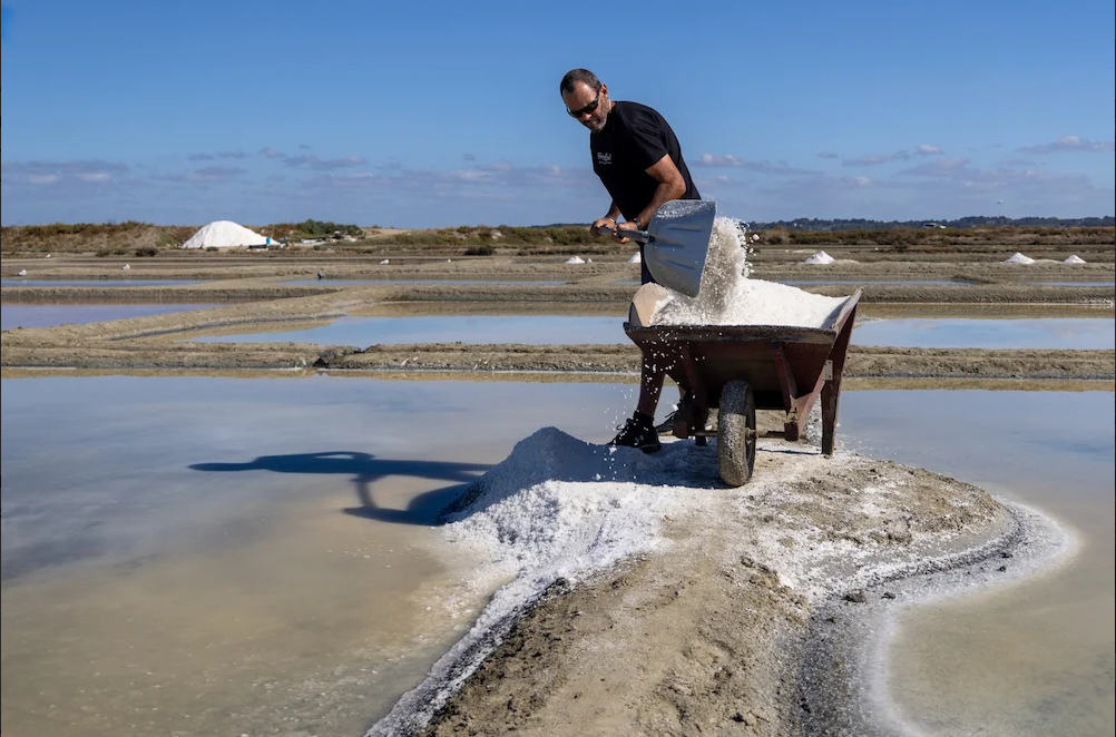 Sea salt TRADYSEL 3