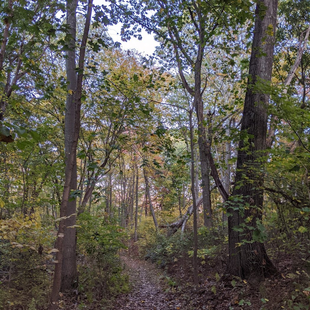 Red Cote Preserve 2