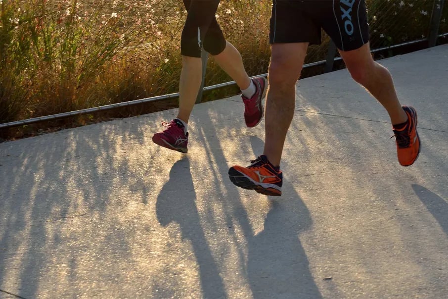 Paris Zoo Run 2026 2