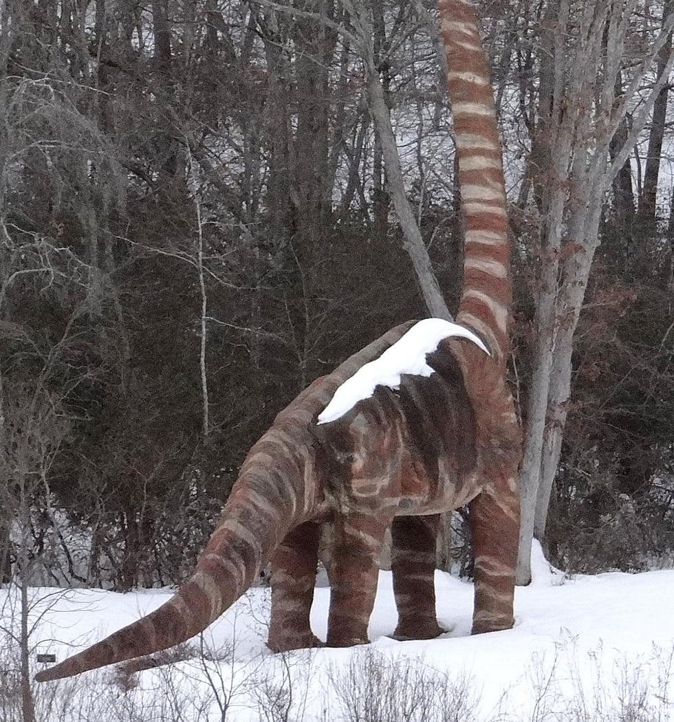 The Dinosaur Place 2