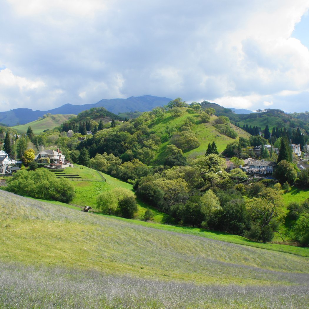 Diablo Foothills Regional Park 3
