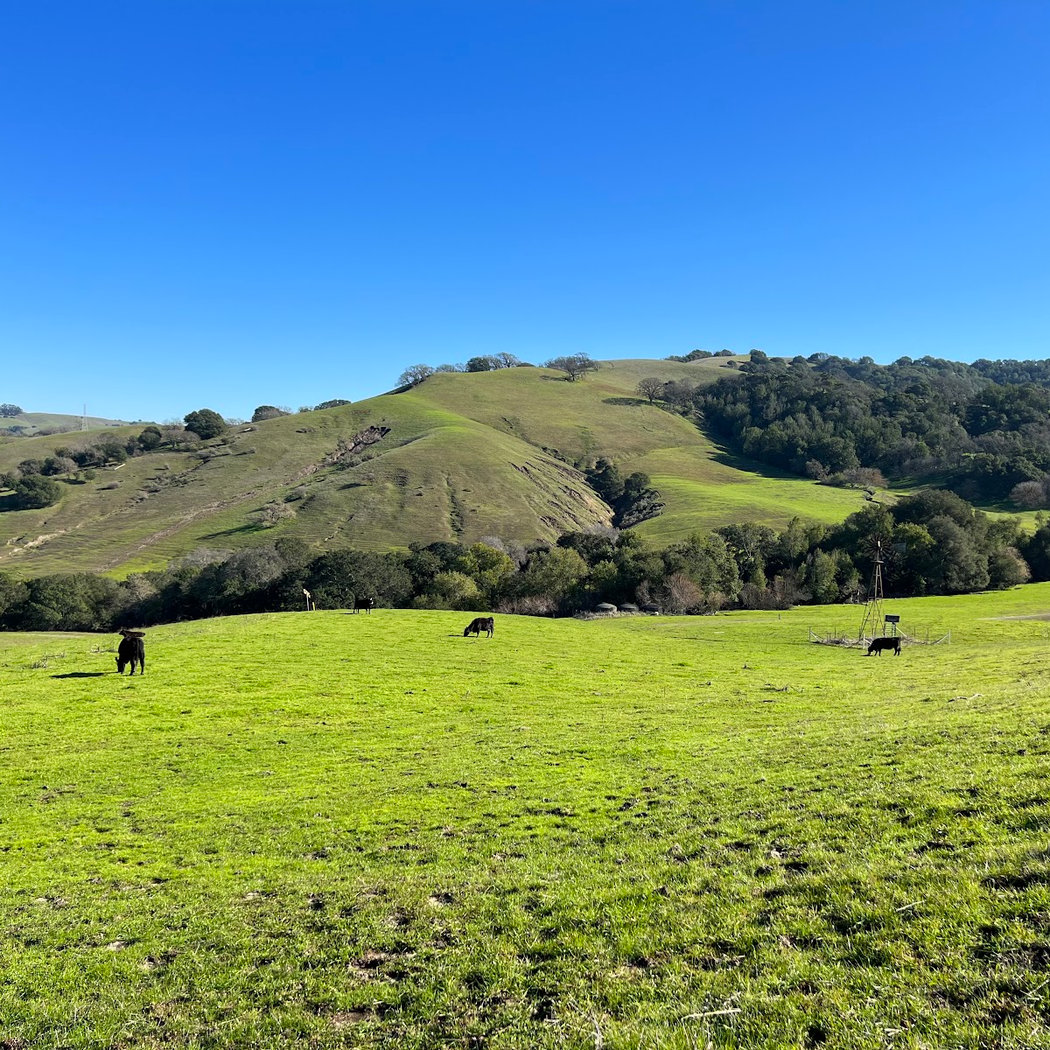 Fernandez Ranch BioBlitz 2