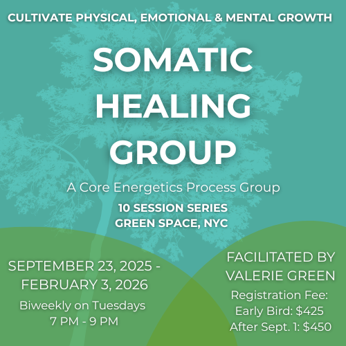Somatic Healing Group 1