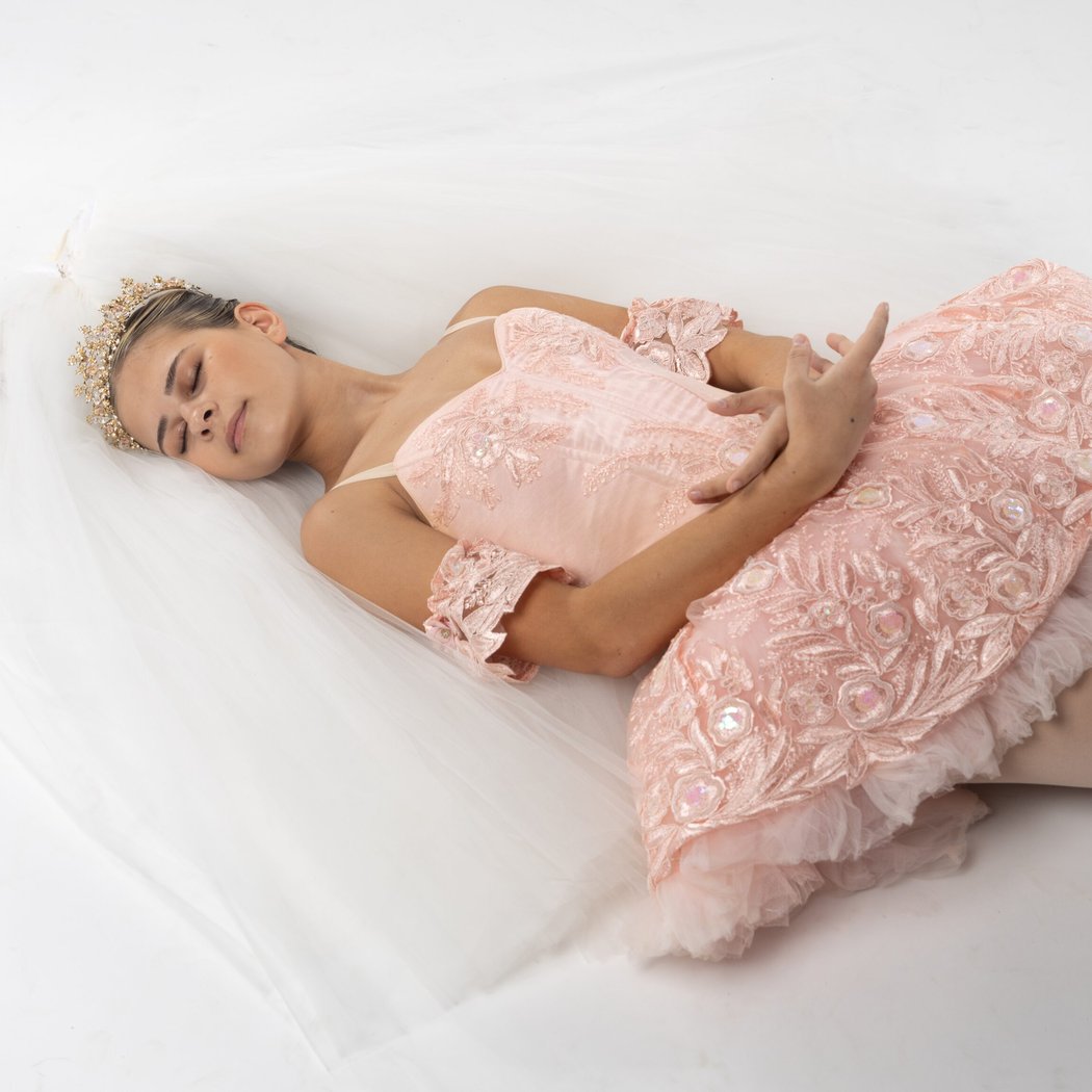 Sleeping Beauty 1