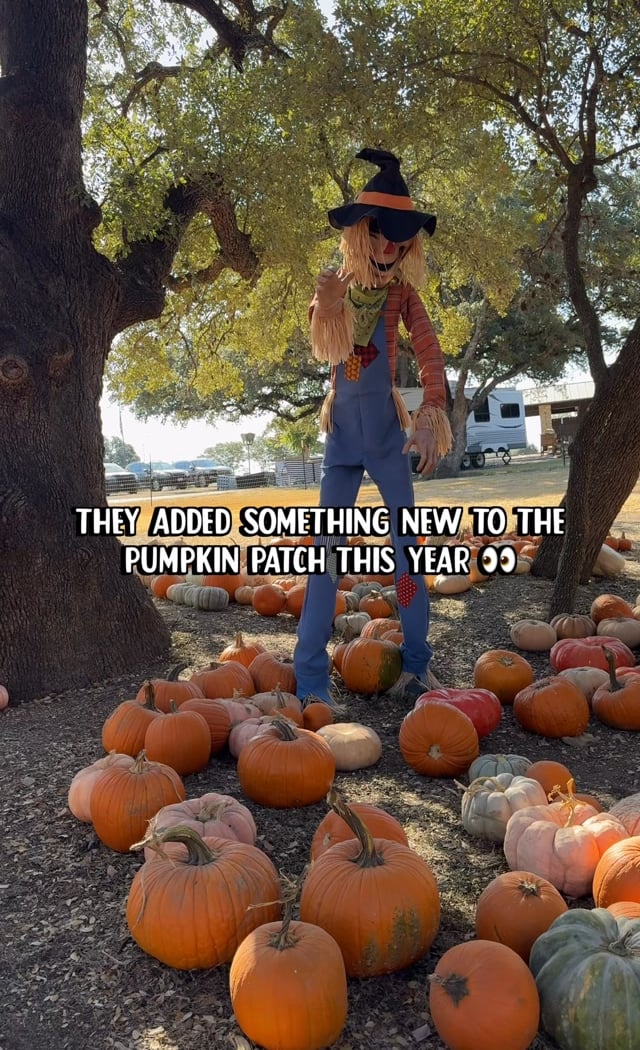 Pumpkin Festival 1