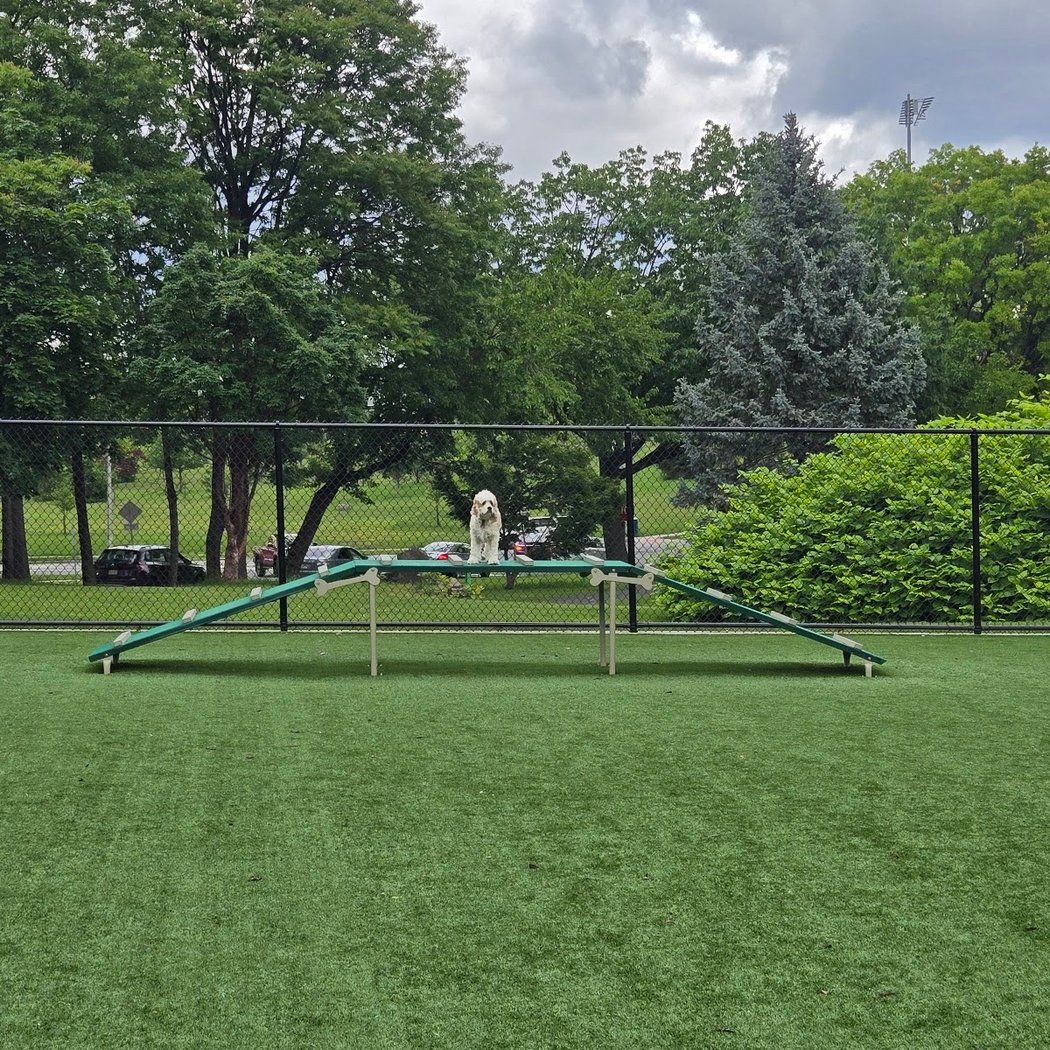 North Hudson County Park - Dog Park🐕 1