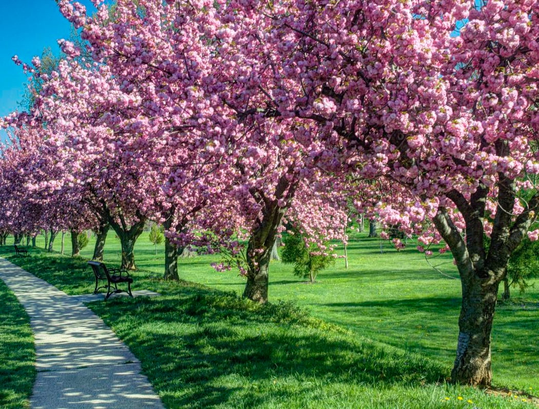 Baker Park 2