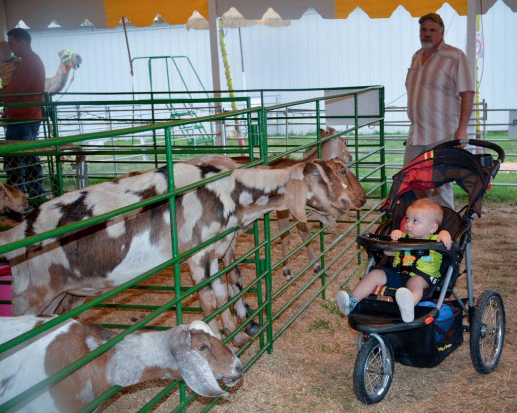 Fredericksburg Fairgrounds 2