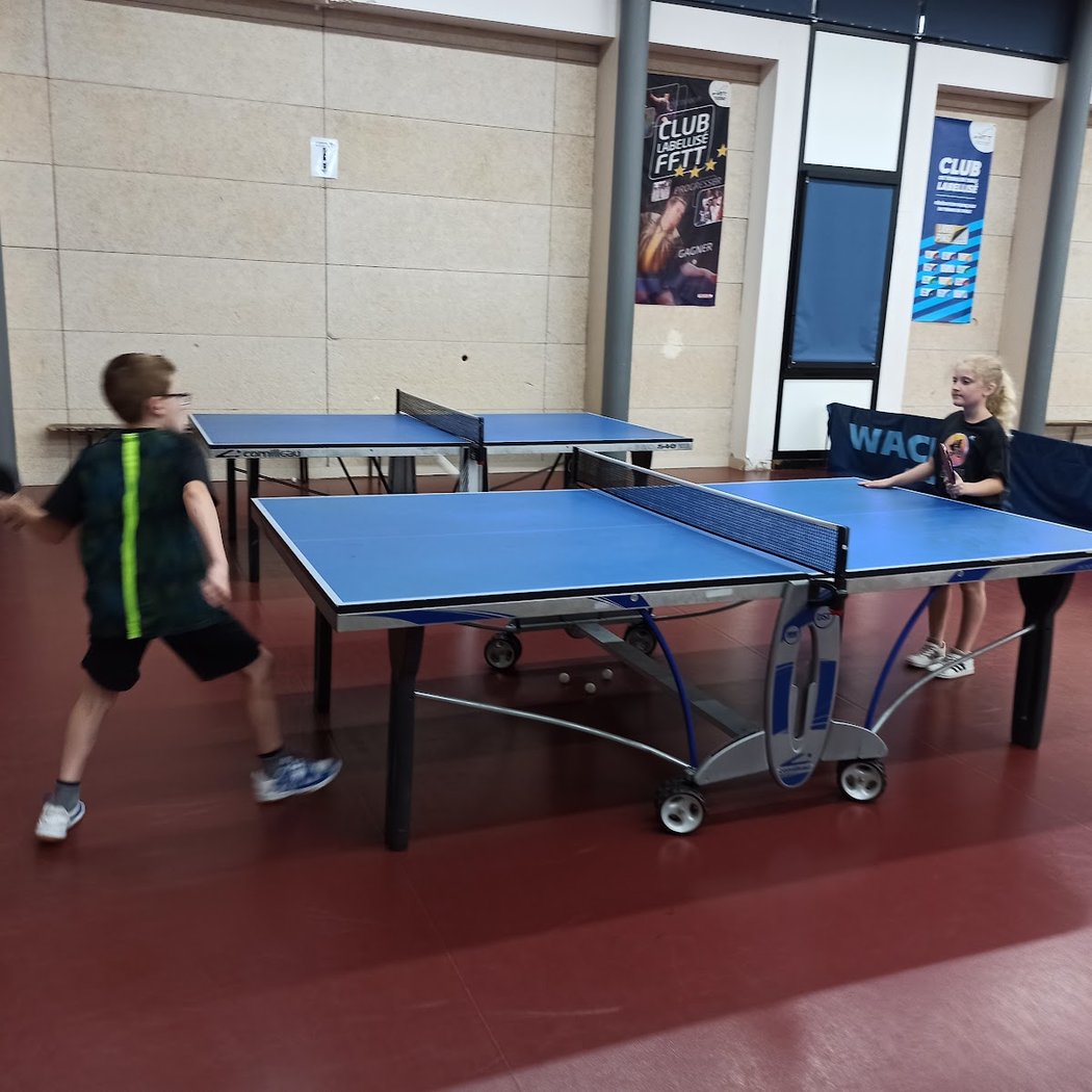 Gymnase Frédéric Mistral 1