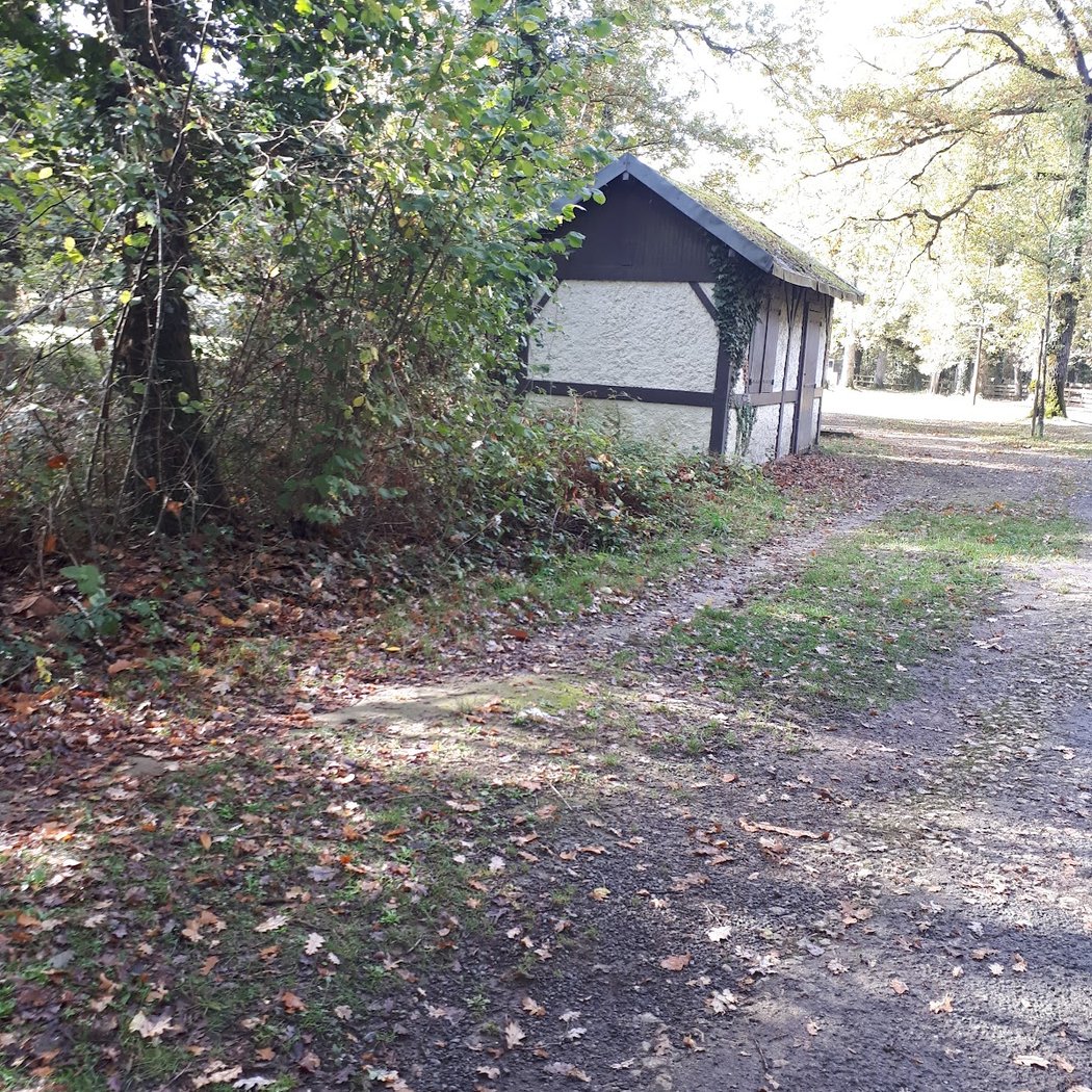 Bois de Saint-Pierre 4