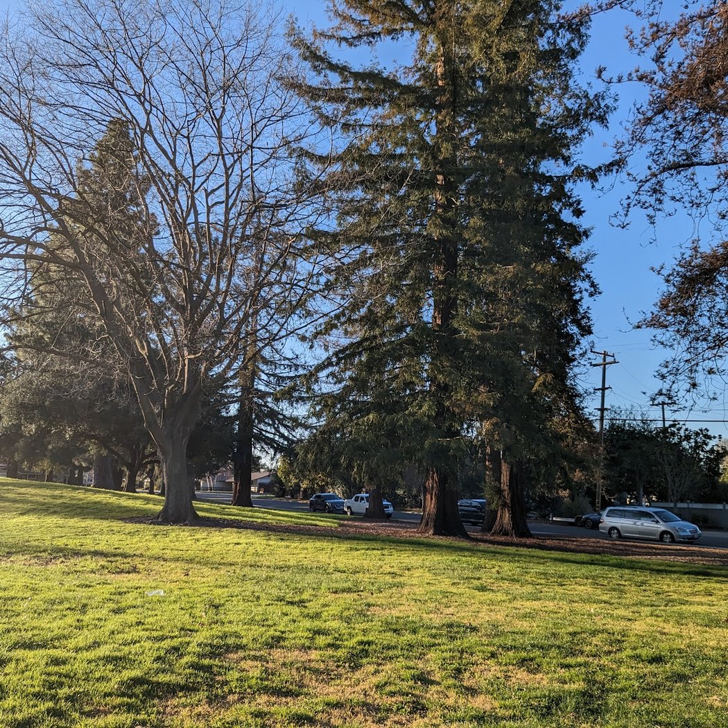 De Anza Park 2