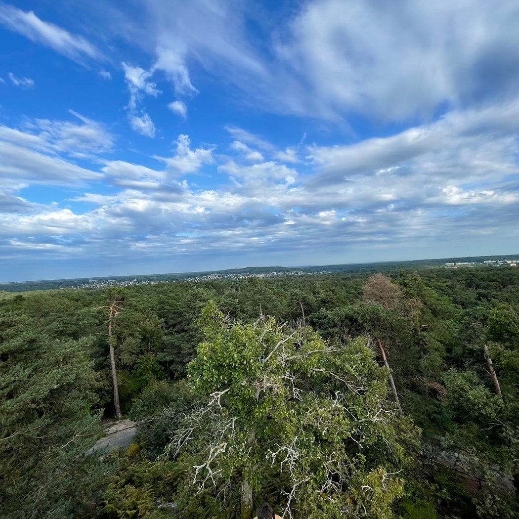 Tour Denecourt Fontainebleau 5