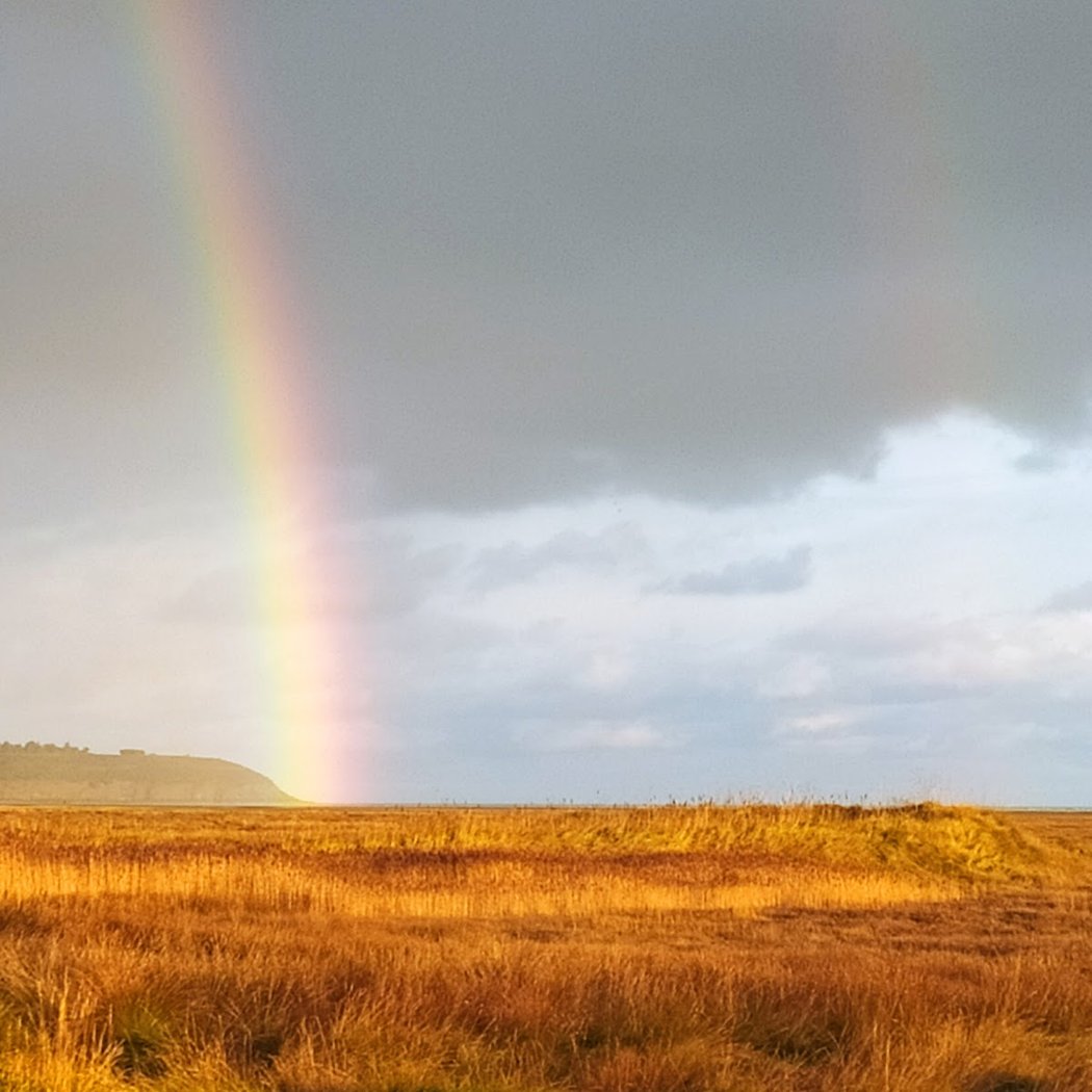 Réserve naturelle nationale de la baie de Saint-Brieuc 1