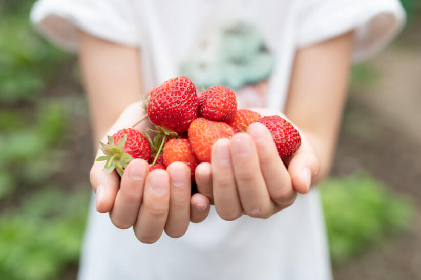 Specca Farms Pick Your Own 1