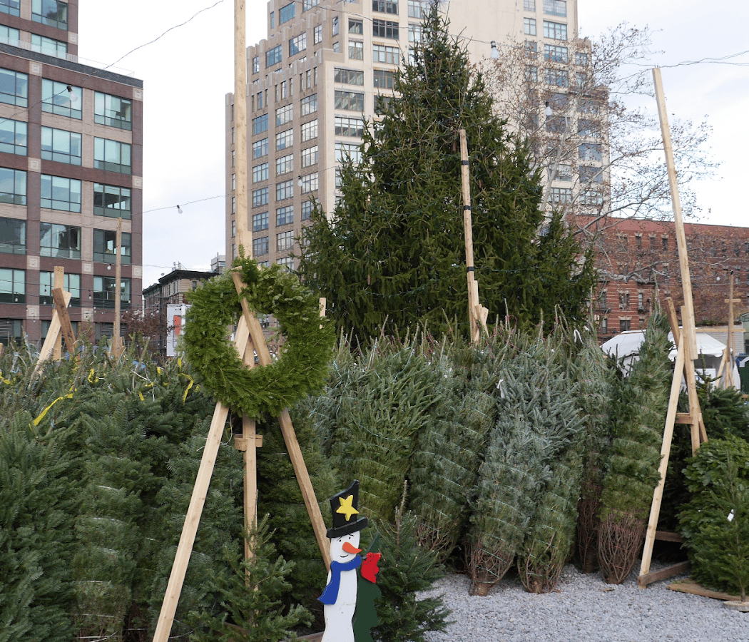 SoHo Trees: Christmas Tree Shop in NYC 2