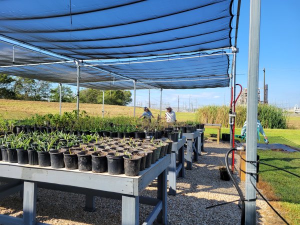 EcoCenter Weekly Nursery Workdays 2