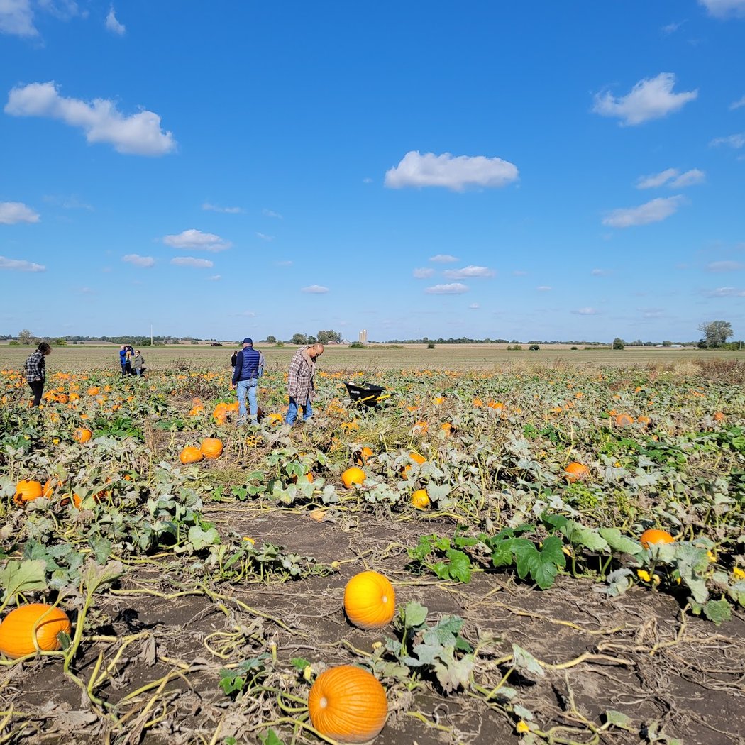 Fall Festivities 2