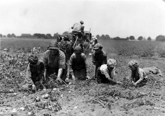 Historic Lectures: More than Potatoes 1