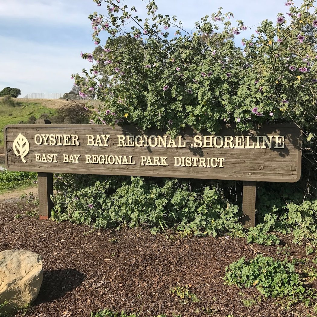 Oyster Bay Regional Shoreline 2