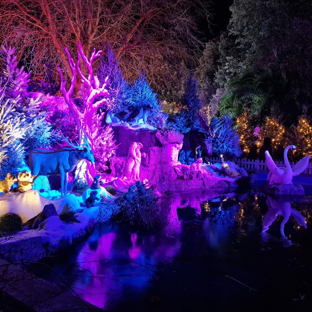 Noël Magique 1