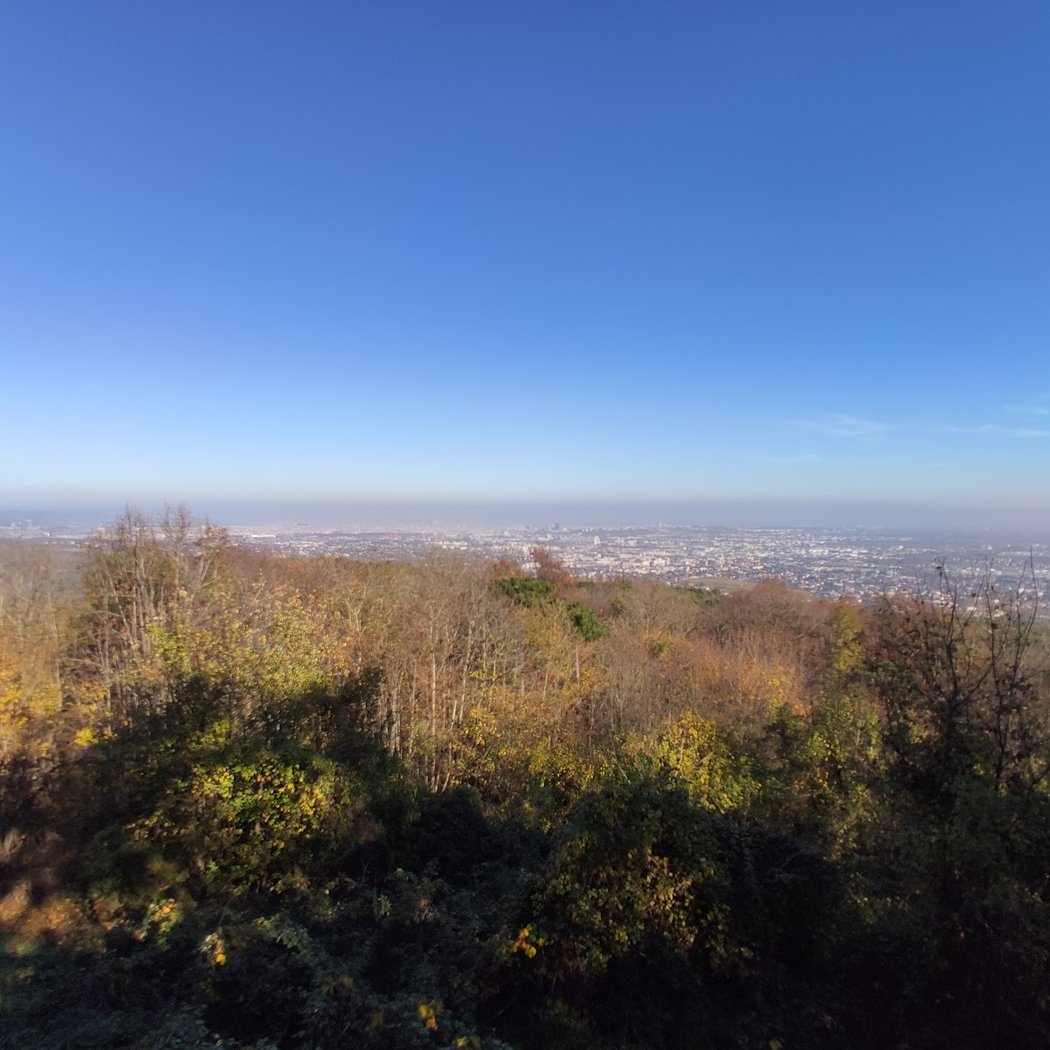 Heidepflegewoche 2