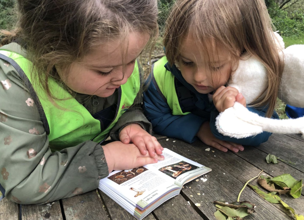Fantastic Fungi Environmental Education Program 2