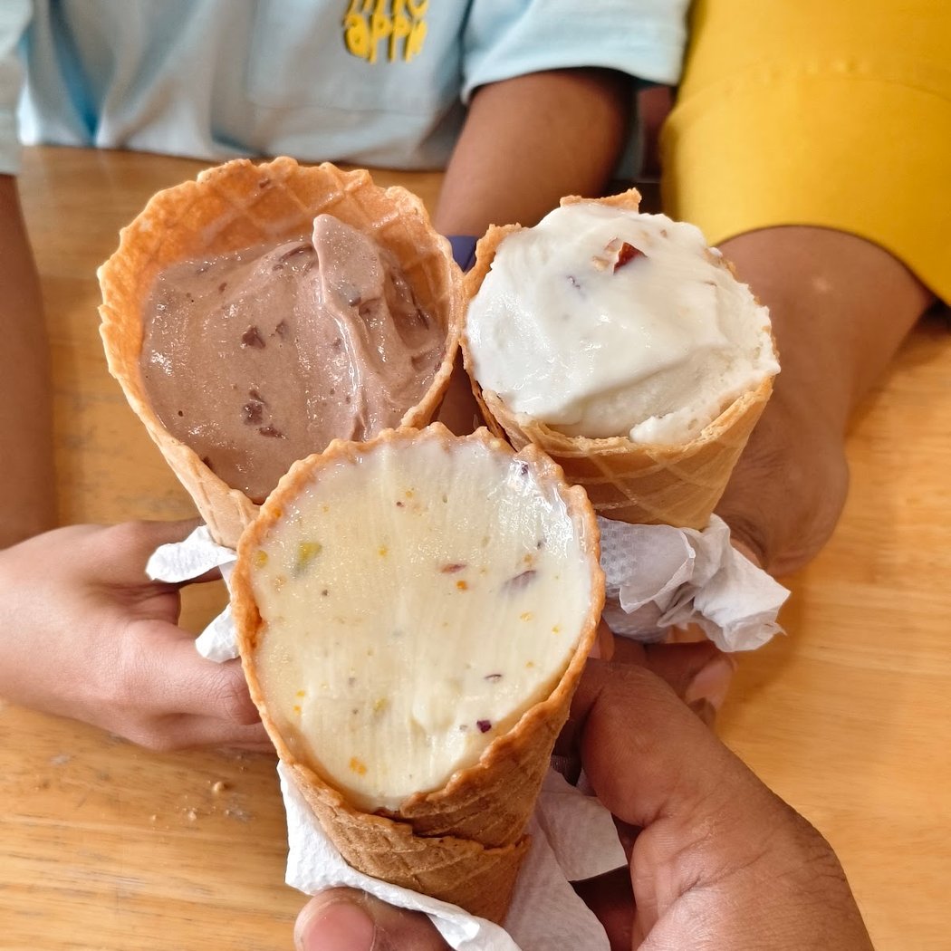 Naturals Ice Cream 1