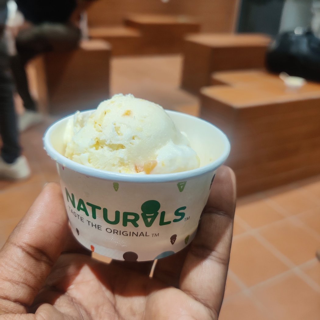 Naturals Ice Cream 3