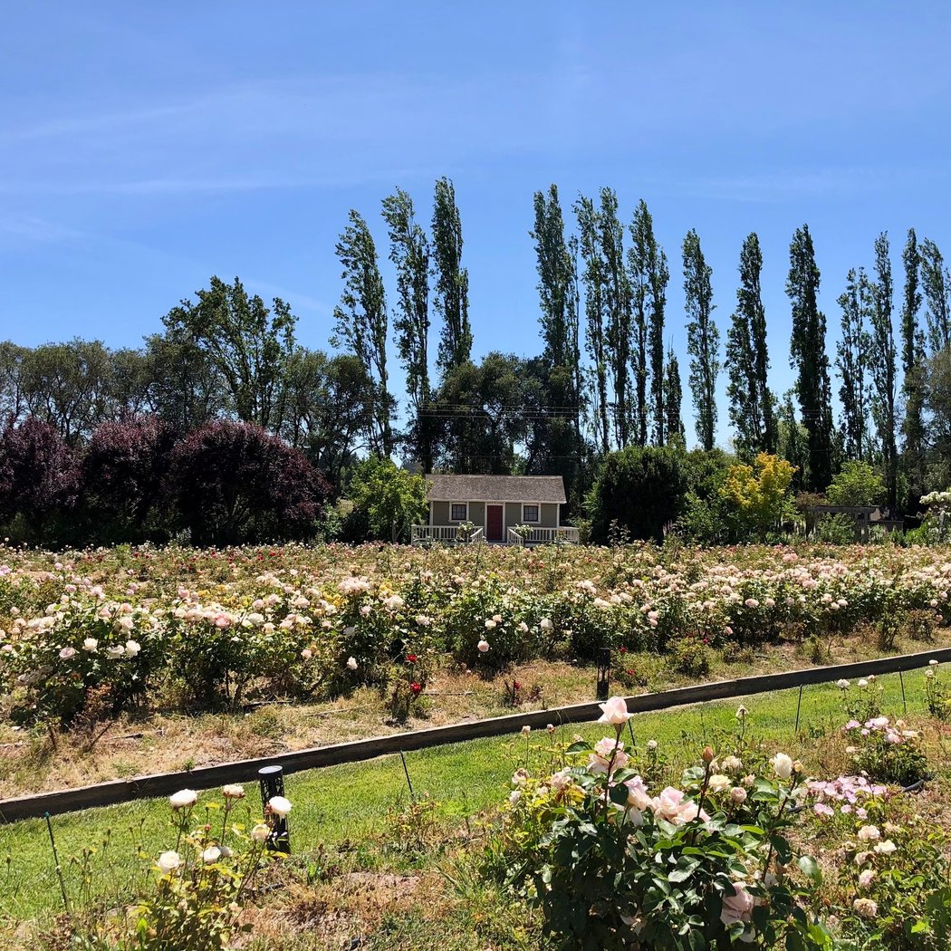 Garden Valley Ranch 3