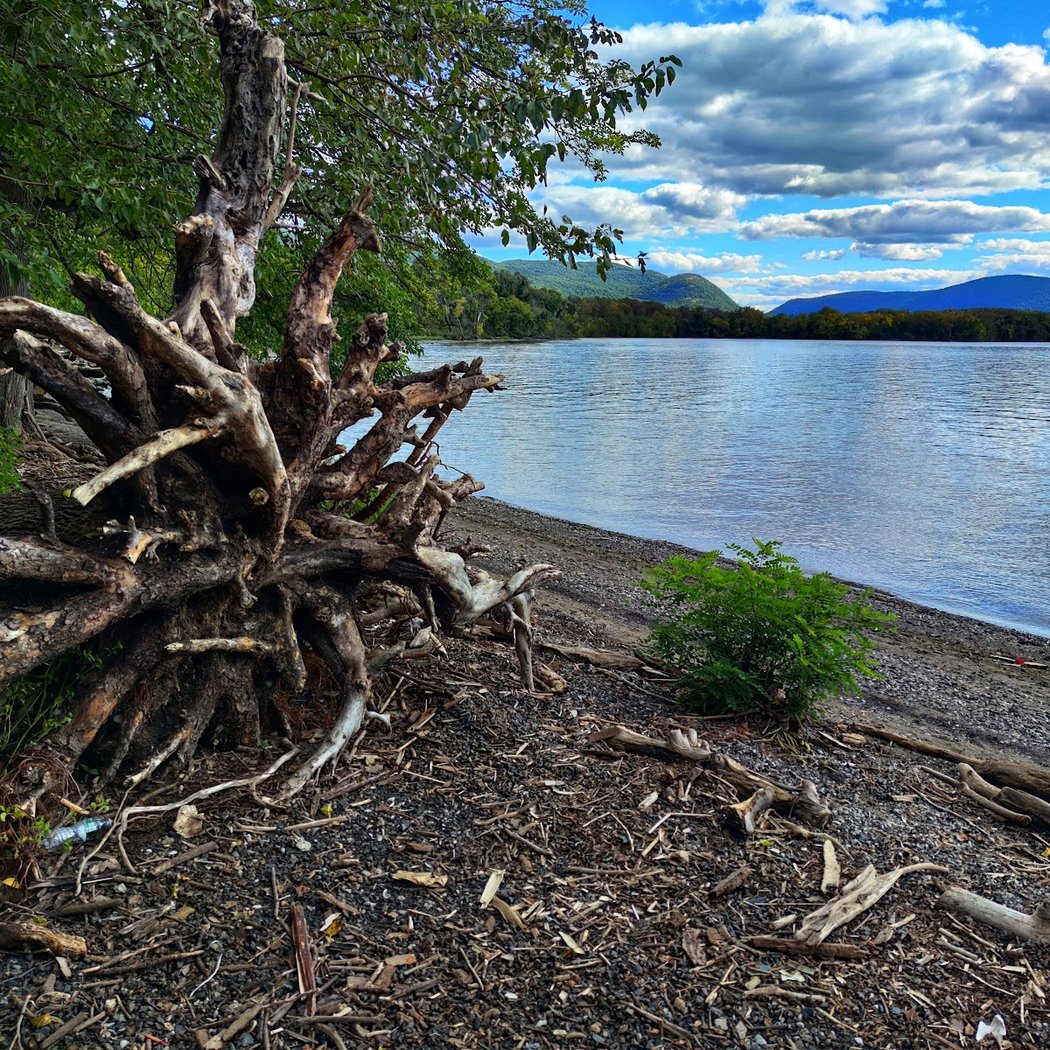 Dennings Point Trail 1
