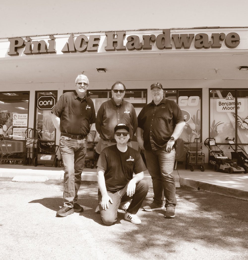 Pini Hardware 2