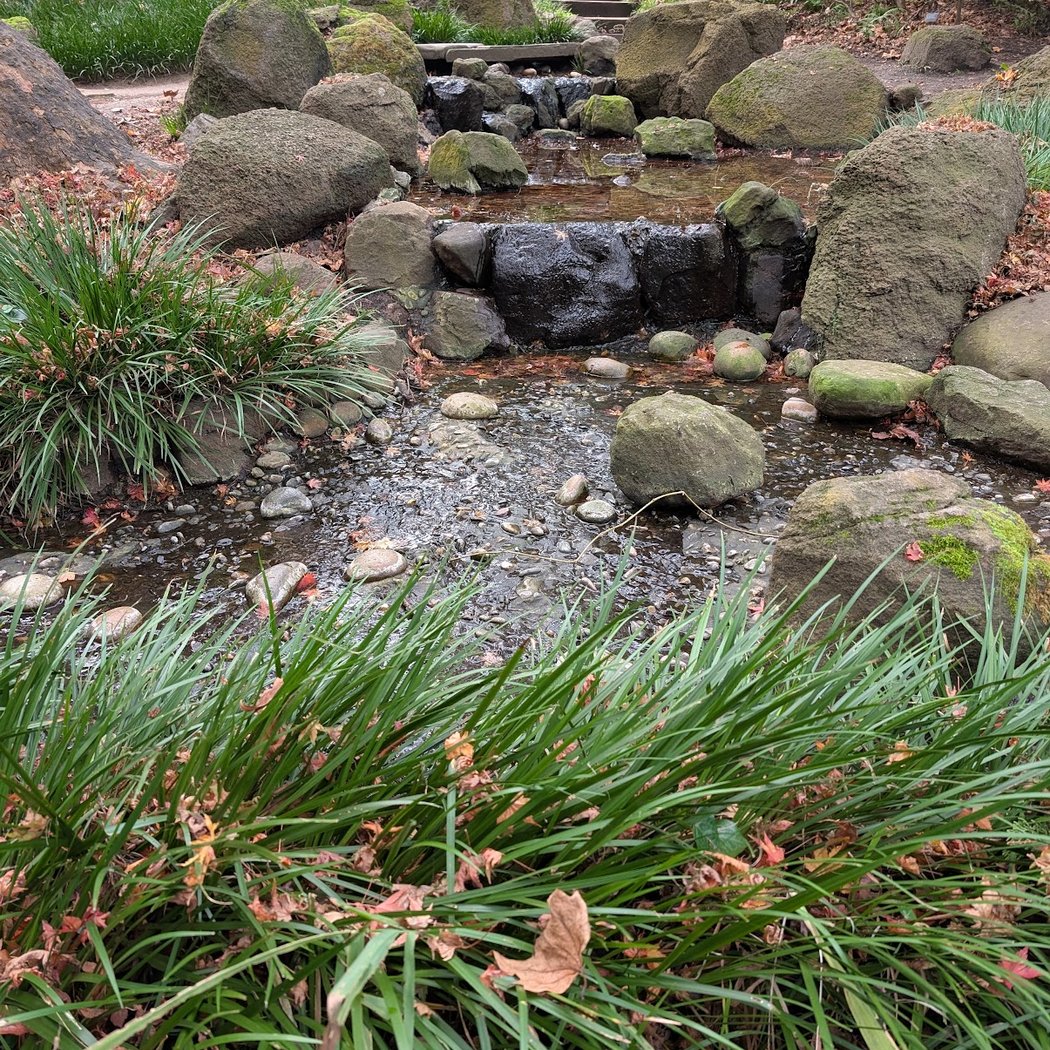 Moon Viewing Garden 2