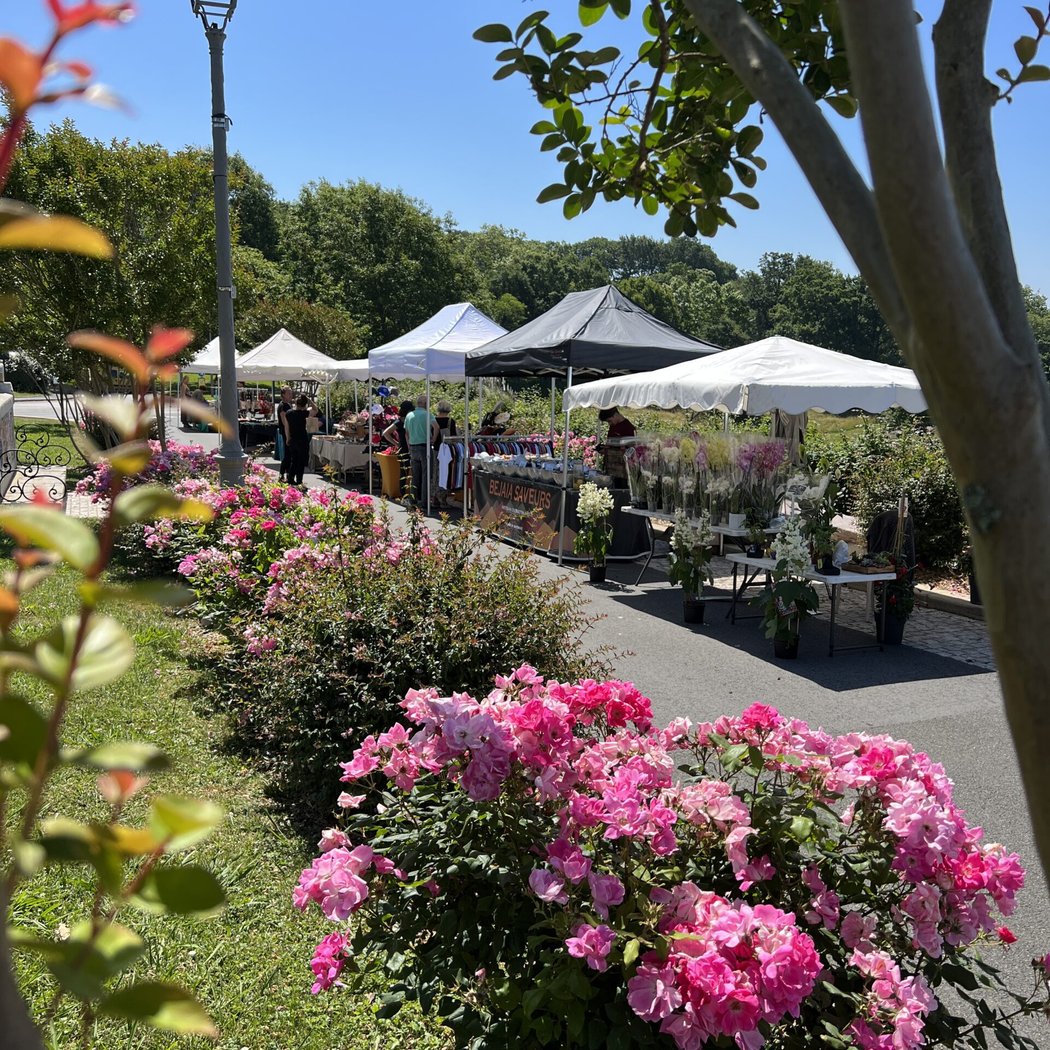 Marché du mercredi d'Arcangues 3
