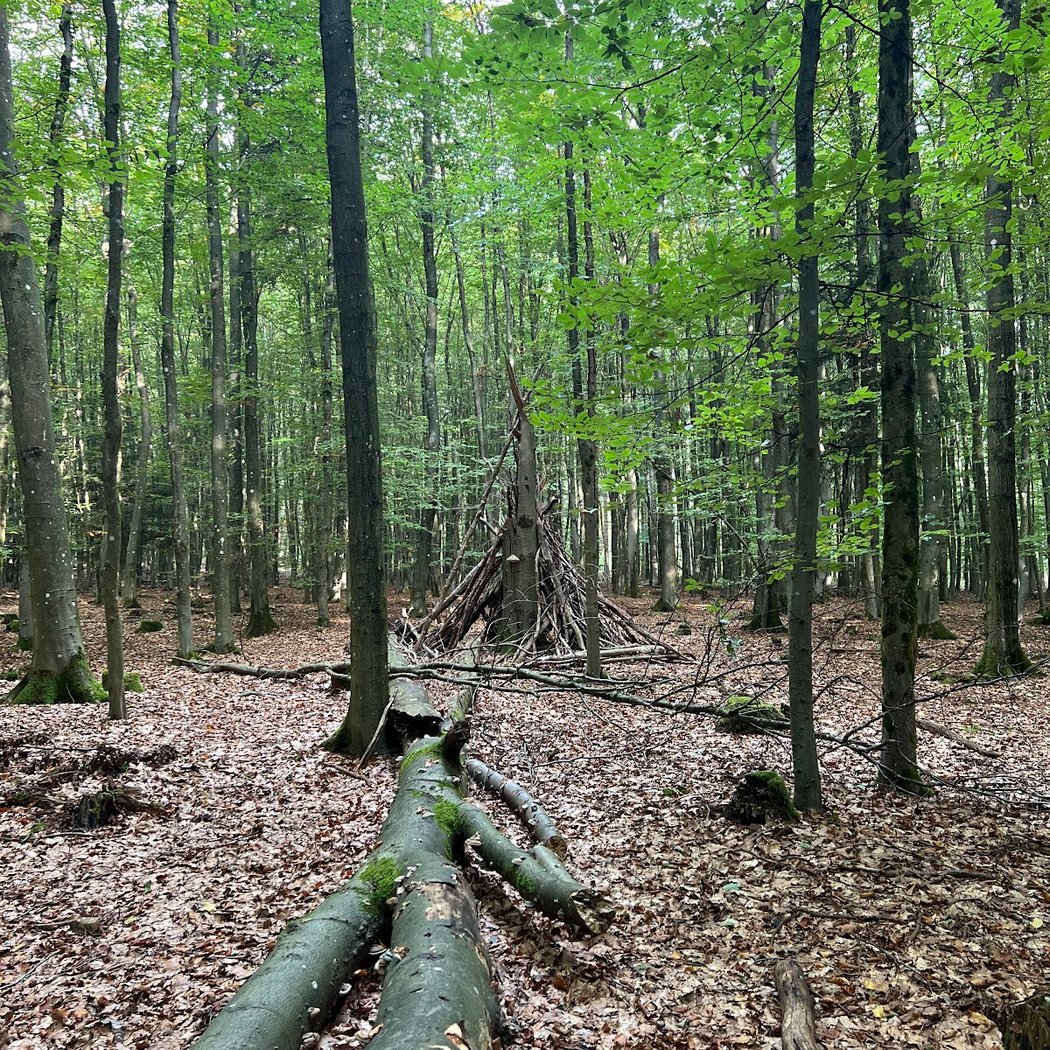 Saar-Hunsrück Nature Park 3