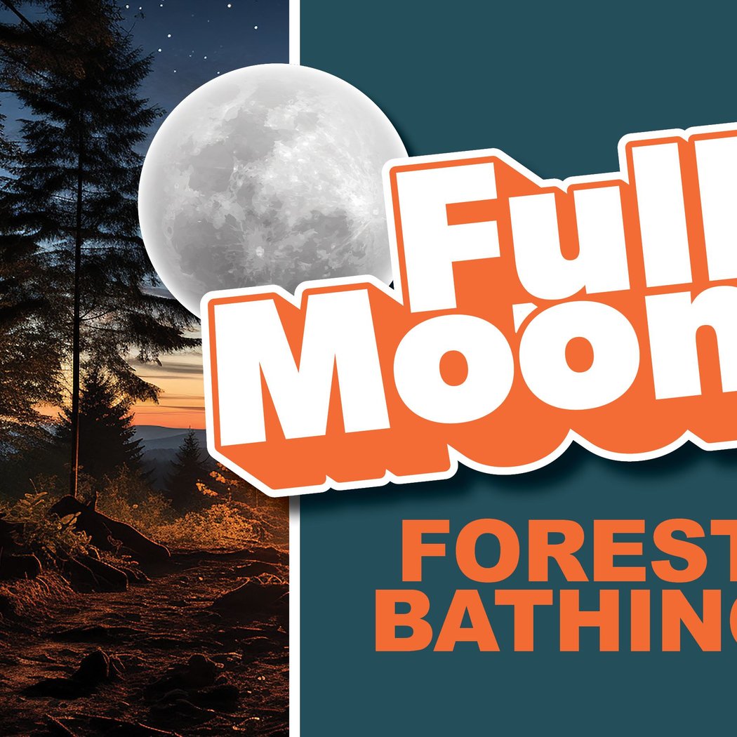 Full Moon Walk 1